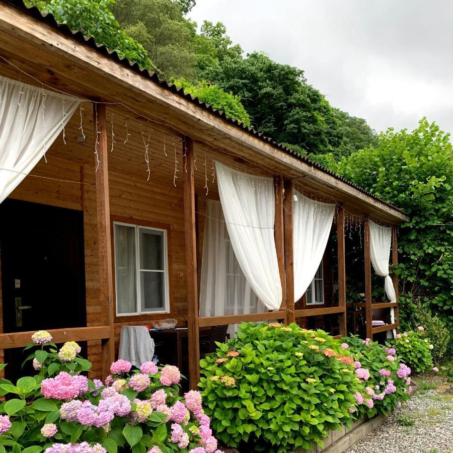 Guest House Ahan Gagra Bagian luar foto
